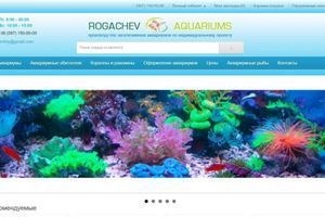 Aquariums.com.ua &ndash; SEO-діагностика магазину акваріумів і план робіт фото