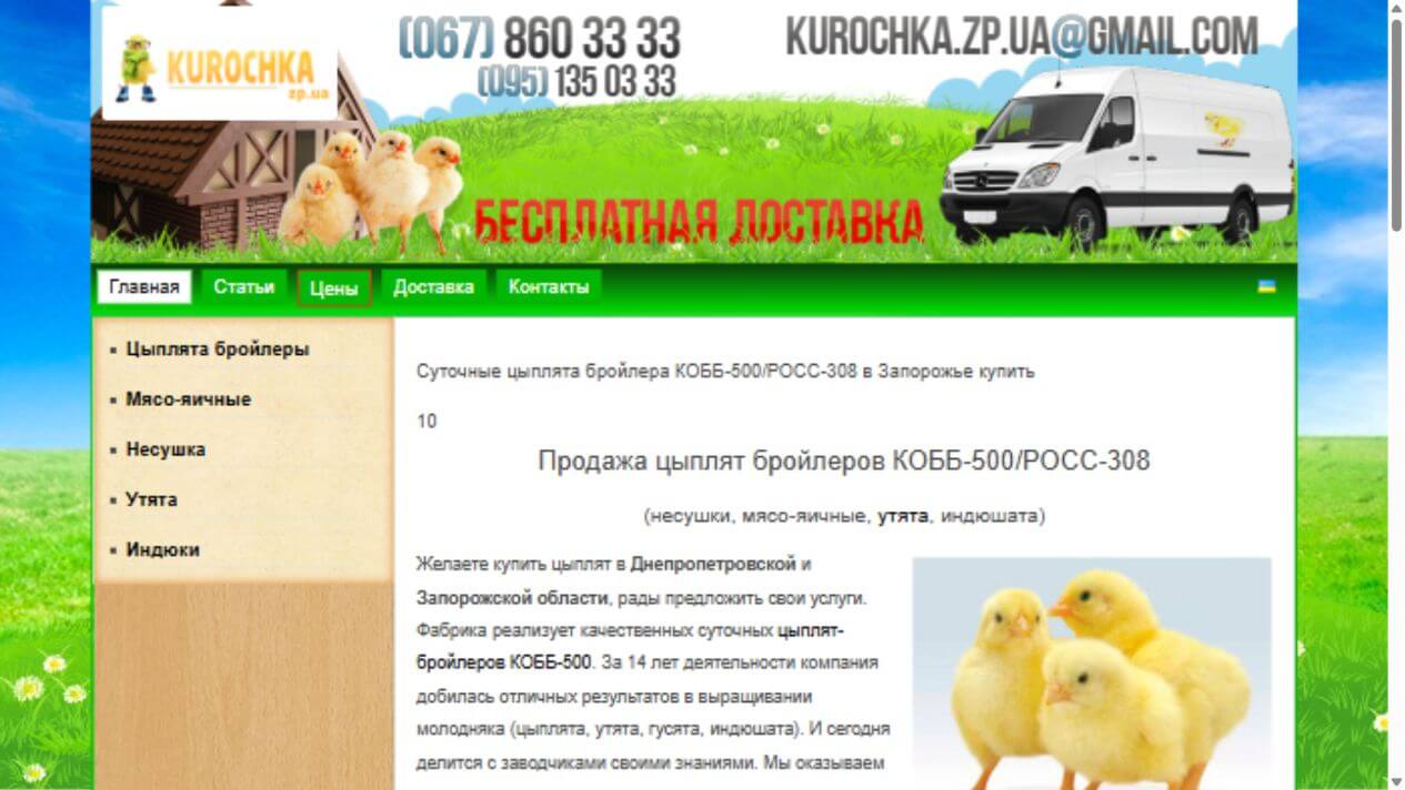 Головна сайту Курочка з категоріями птиці та розділом доставки